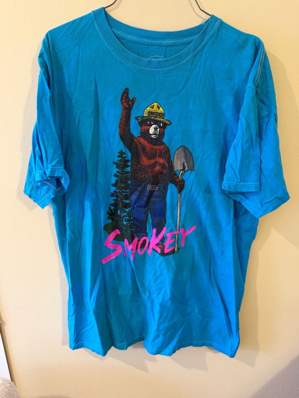 Smokey Bear Graphic T-Shirt - Blue
